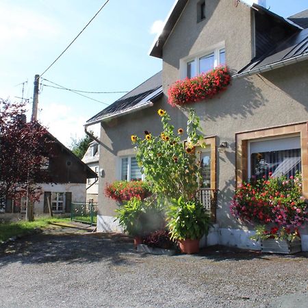 Ferienwohnung Am Muehlbach Klingenthal Bagian luar foto