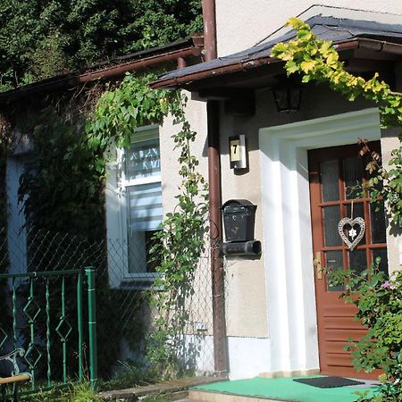 Ferienwohnung Am Muehlbach Klingenthal Bagian luar foto