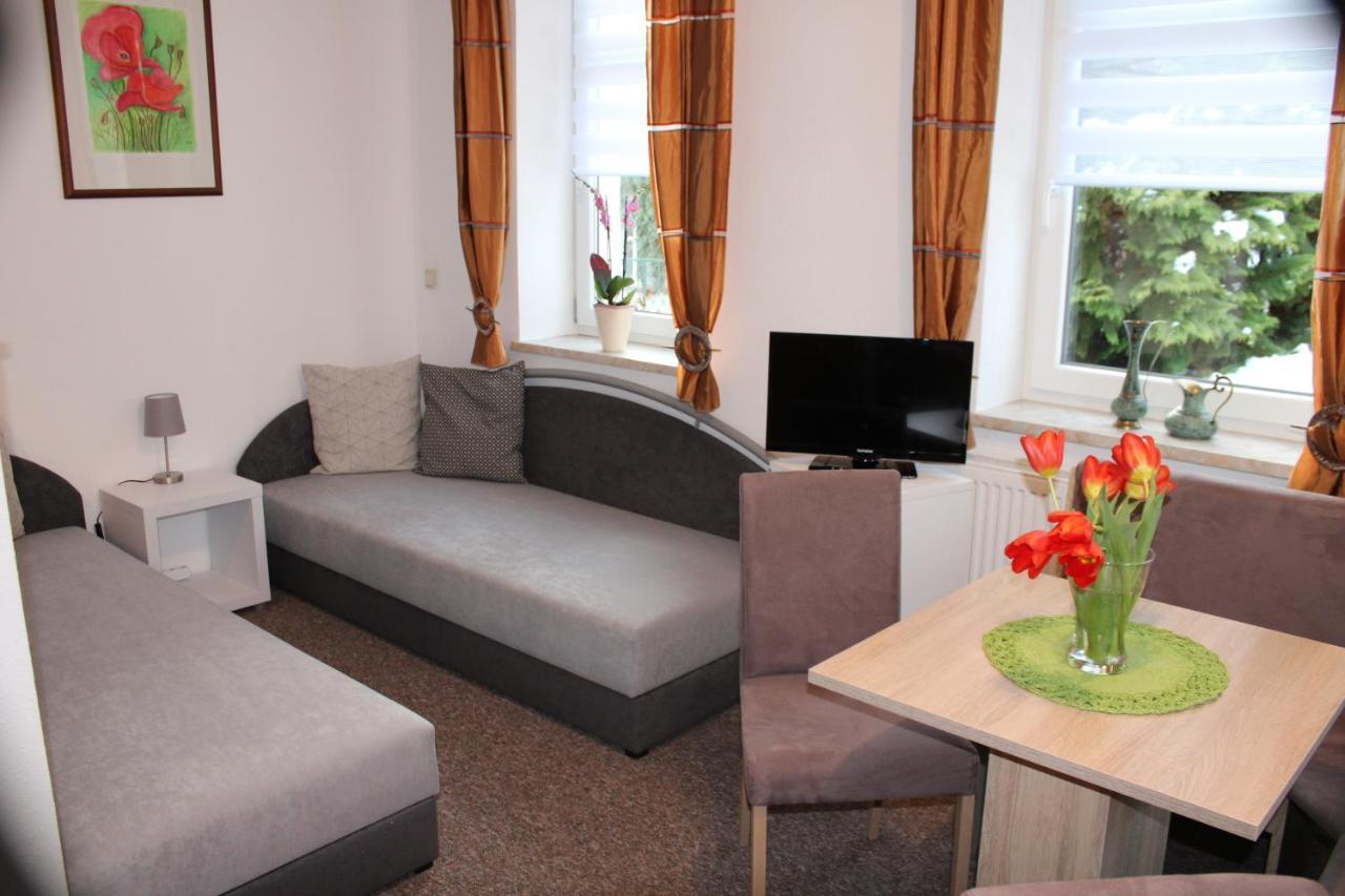 Ferienwohnung Am Muehlbach Klingenthal Bagian luar foto