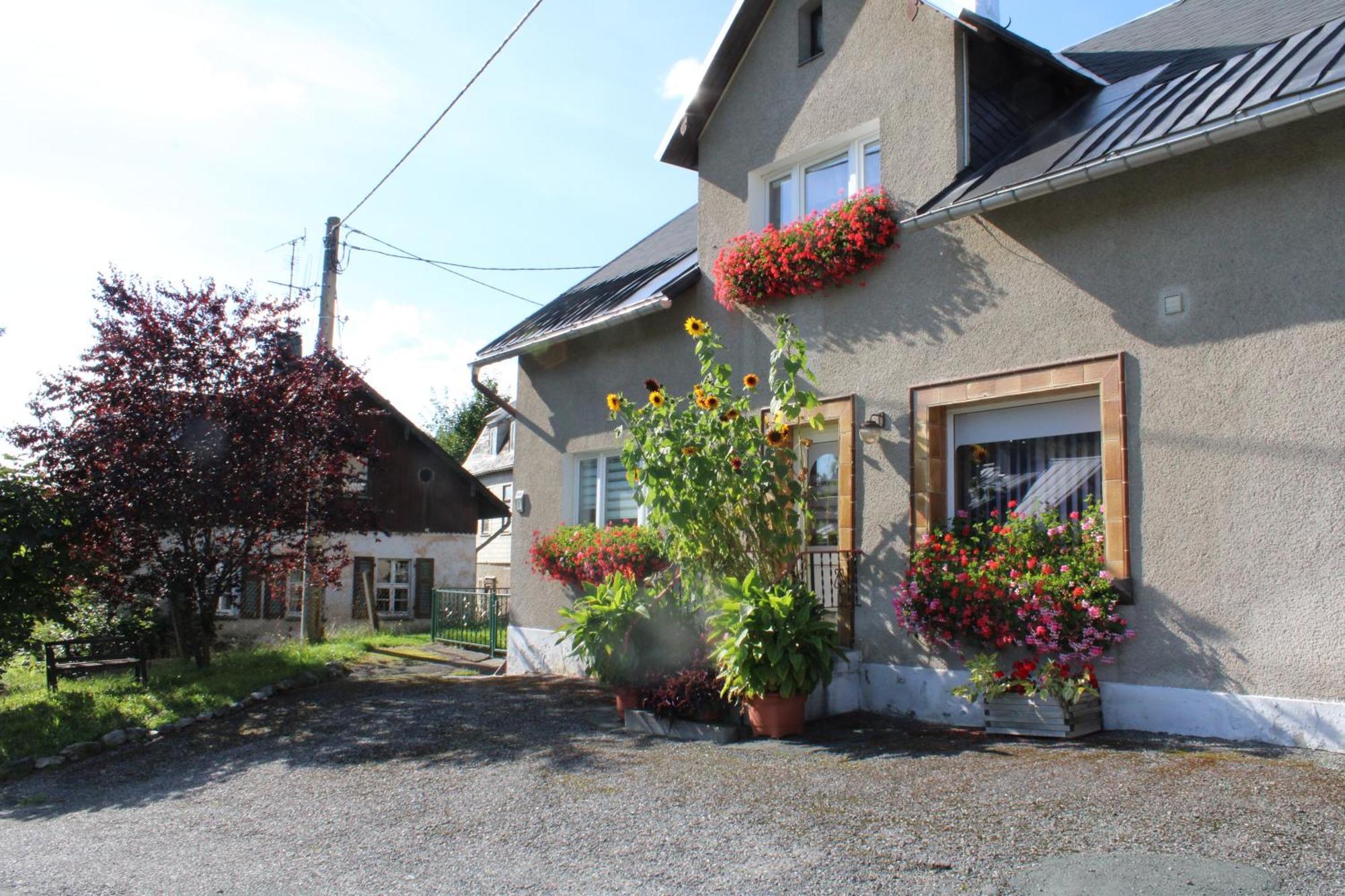 Ferienwohnung Am Muehlbach Klingenthal Bagian luar foto