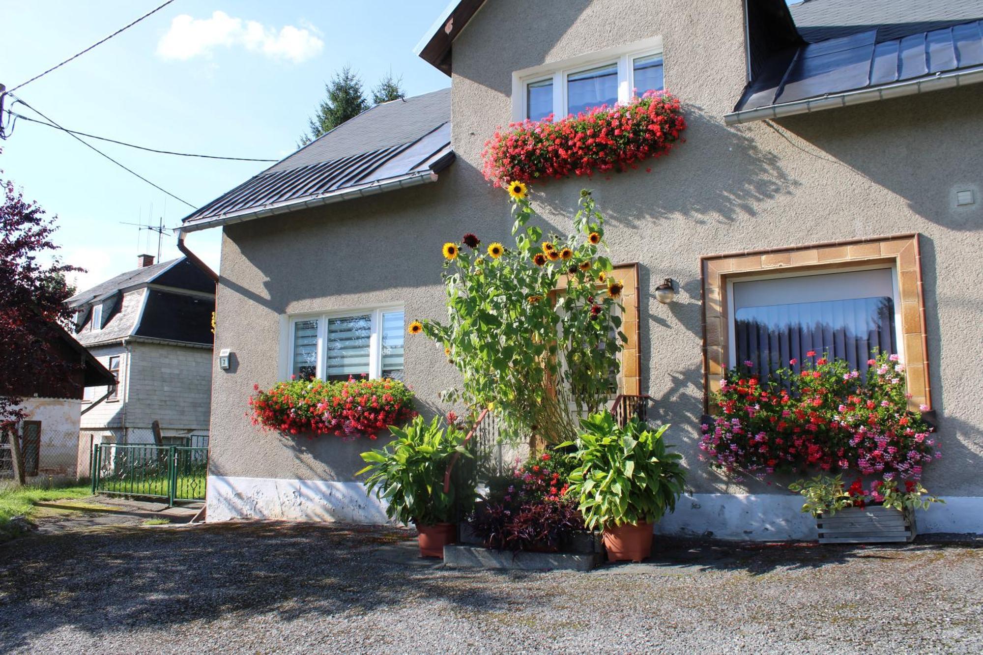 Ferienwohnung Am Muehlbach Klingenthal Bagian luar foto